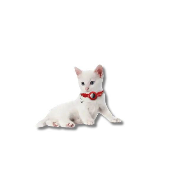 Reflecterende AirTag Kattenhalsband - Pet Buddy