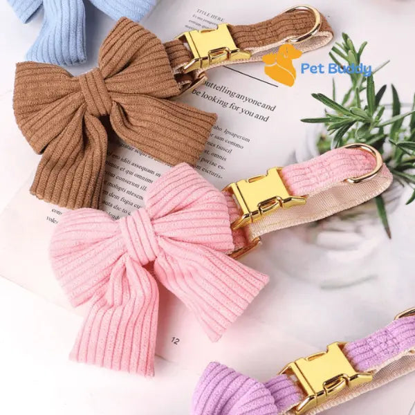 Fashion Huisdier Halsband en Riem Set - Pet Buddy