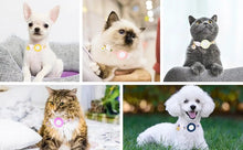 AirTag Kattenhalsband – Veilig, Breakaway & Met Belletje - Pet Buddy