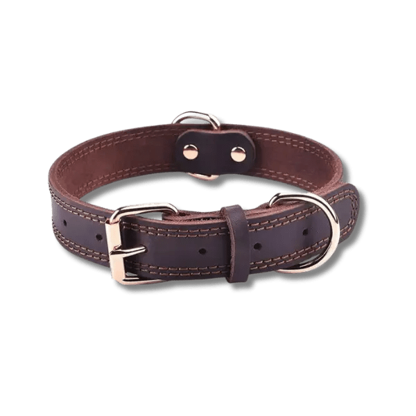 Benepaw Echtleren Halsband - Pet Buddy