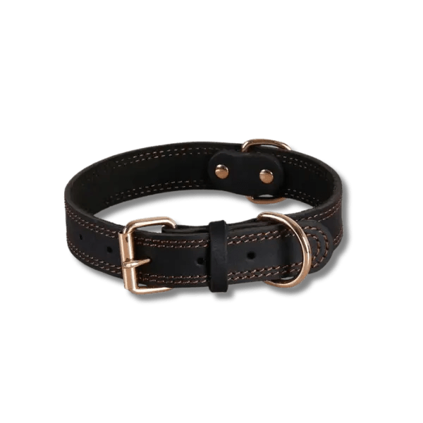 Benepaw Echtleren Halsband - Pet Buddy