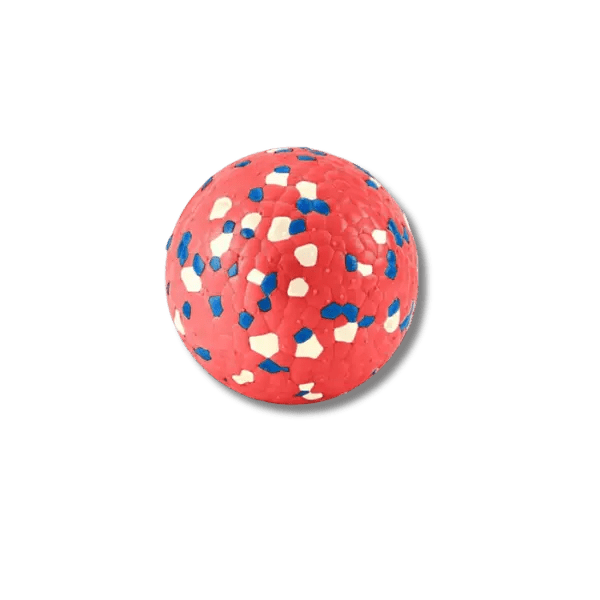 Burst Bal Kauwspeeltje - Pet Buddy