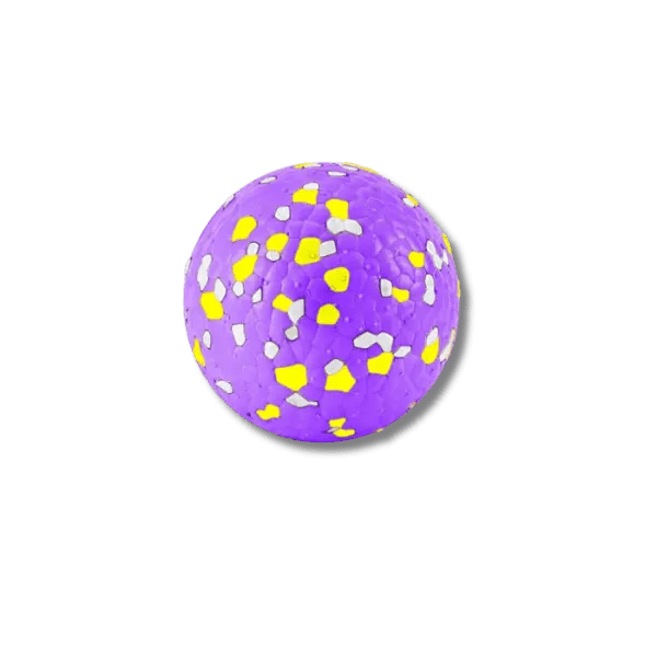 Burst Bal Kauwspeeltje - Pet Buddy