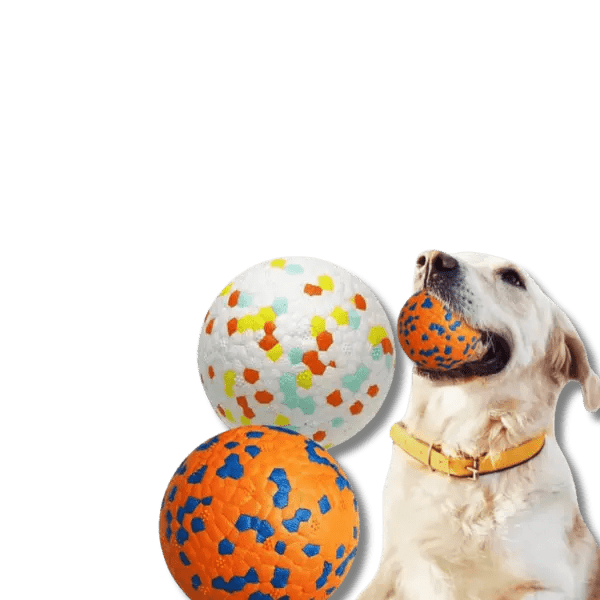 Burst Bal Kauwspeeltje - Pet Buddy