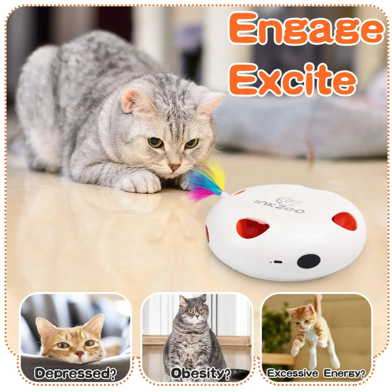 CatchMe™ Whack - A - Mole – Slim Interactief Speelgoed - Pet Buddy