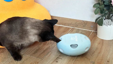 CatchMe™ Whack - A - Mole – Slim Interactief Speelgoed - Pet Buddy