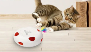 CatchMe™ Whack - A - Mole – Slim Interactief Speelgoed - Pet Buddy