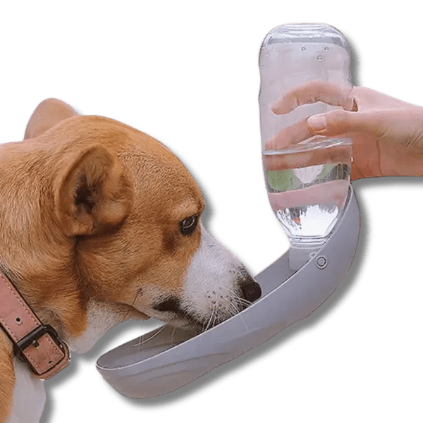 Draagbare Waterfles - Pet Buddy