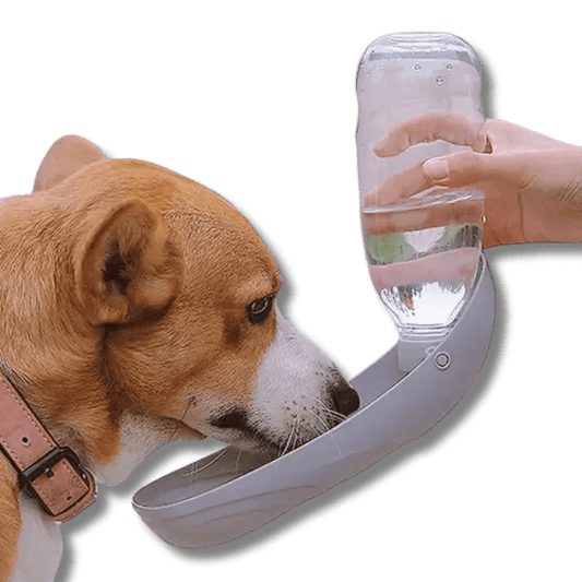 Draagbare Waterfles - Pet Buddy