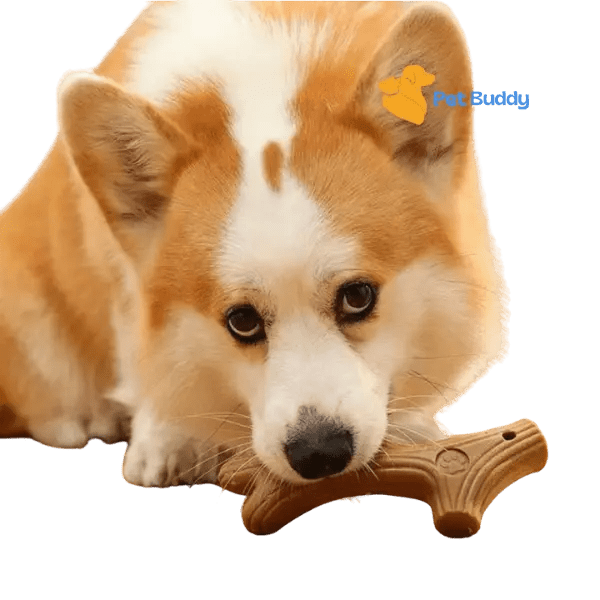 Duurzame Bijtbestendige Kauwspeeltje - Pet Buddy