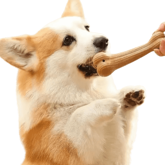 Duurzame Bijtbestendige Kauwspeeltje - Pet Buddy