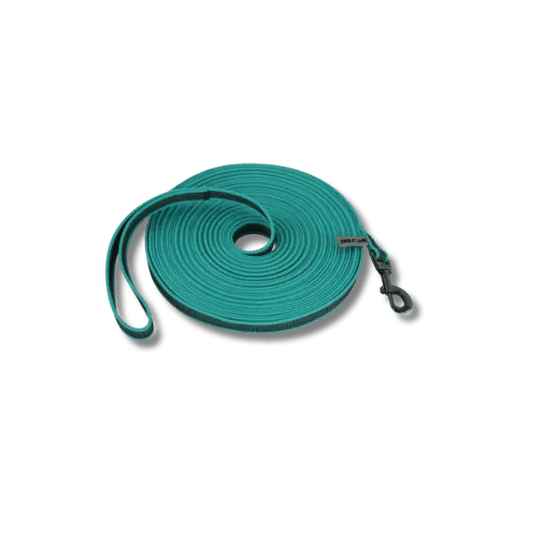 Duurzame Honden Trainingsriem - Pet Buddy