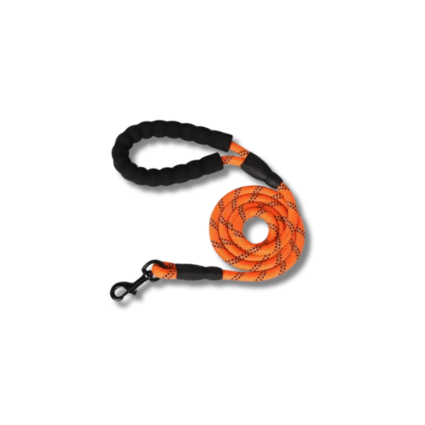 Duurzame Riem met Zachte Greep - Pet Buddy