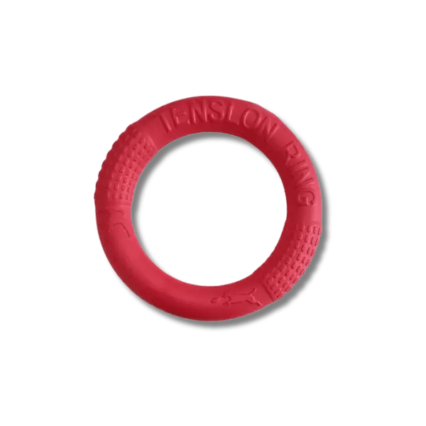 Duurzame Vliegschijf & Trainingsring - Pet Buddy