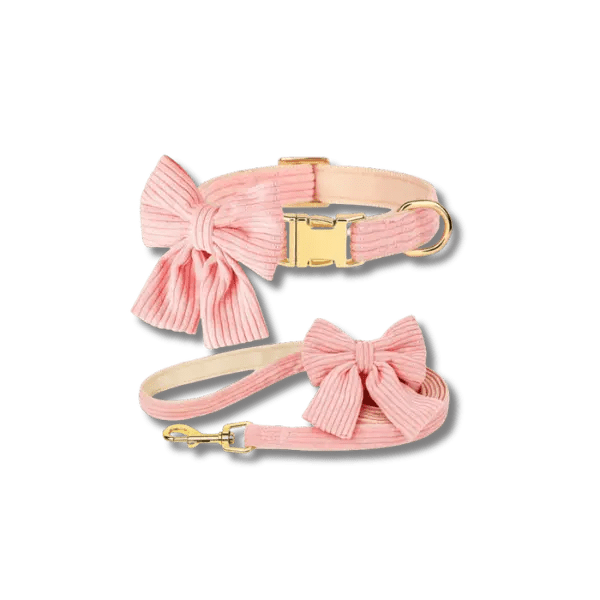 Fashion Huisdier Halsband en Riem Set - Pet Buddy