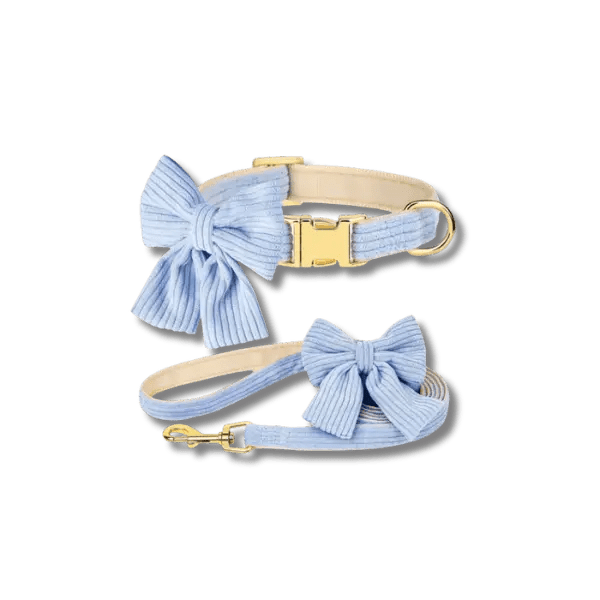 Fashion Huisdier Halsband en Riem Set - Pet Buddy
