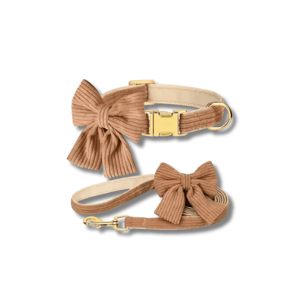 Fashion Huisdier Halsband en Riem Set - Pet Buddy