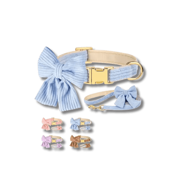 Fashion Huisdier Halsband en Riem Set - Pet Buddy