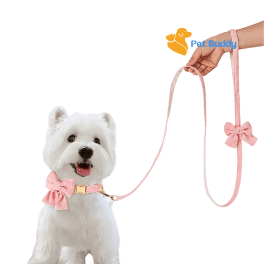 Fashion Huisdier Halsband en Riem Set - Pet Buddy