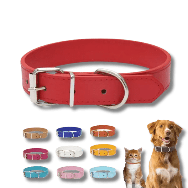 FlexiLuxe PU - Leren Halsband - Pet Buddy