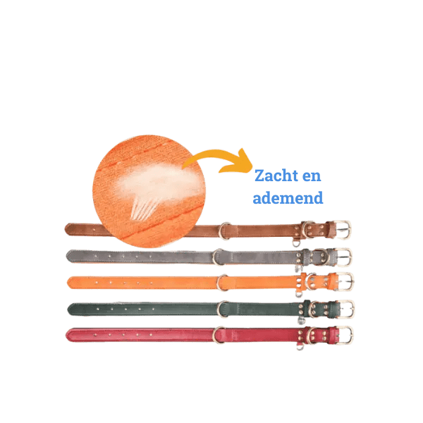 Gewatteerde Leren Huisdierhalsband - Pet Buddy