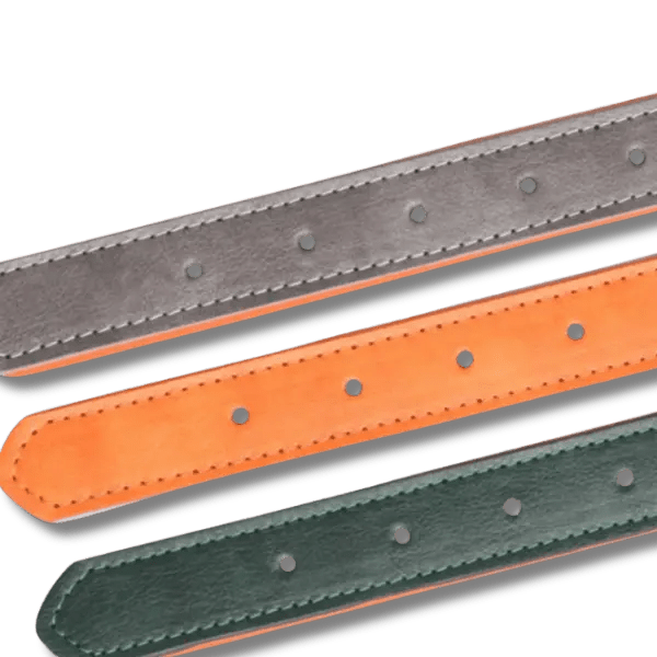 Gewatteerde Leren Huisdierhalsband - Pet Buddy