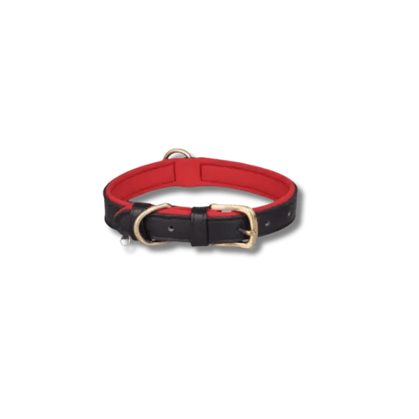 Gewatteerde Leren Huisdierhalsband - Pet Buddy