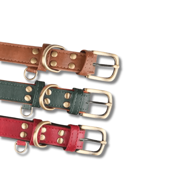Gewatteerde Leren Huisdierhalsband - Pet Buddy