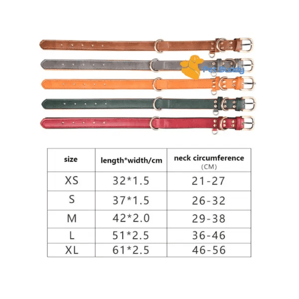 Gewatteerde Leren Huisdierhalsband - Pet Buddy