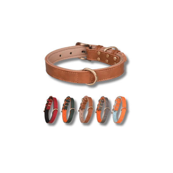 Gewatteerde Leren Huisdierhalsband - Pet Buddy