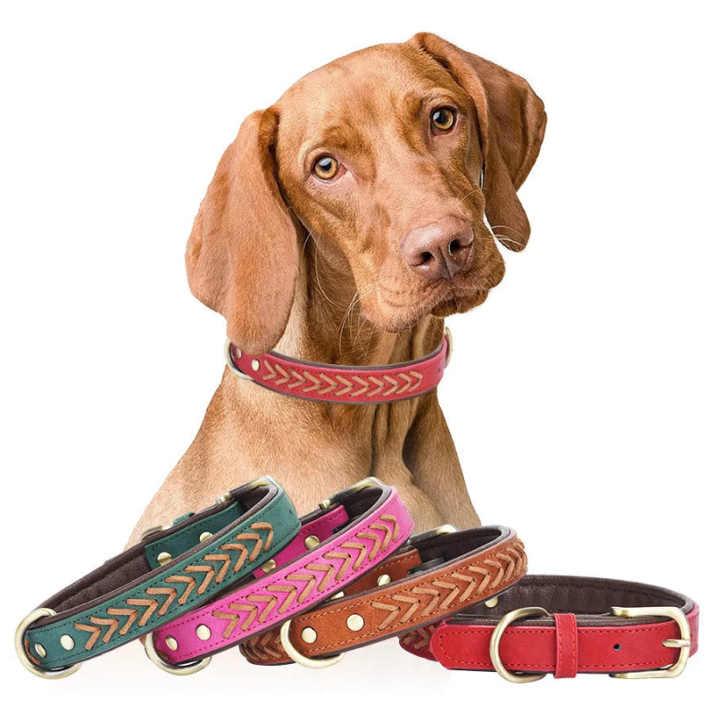 Handgemaakte Leren Hondenhalsband – Duurzaam & Comfortabel - Pet Buddy