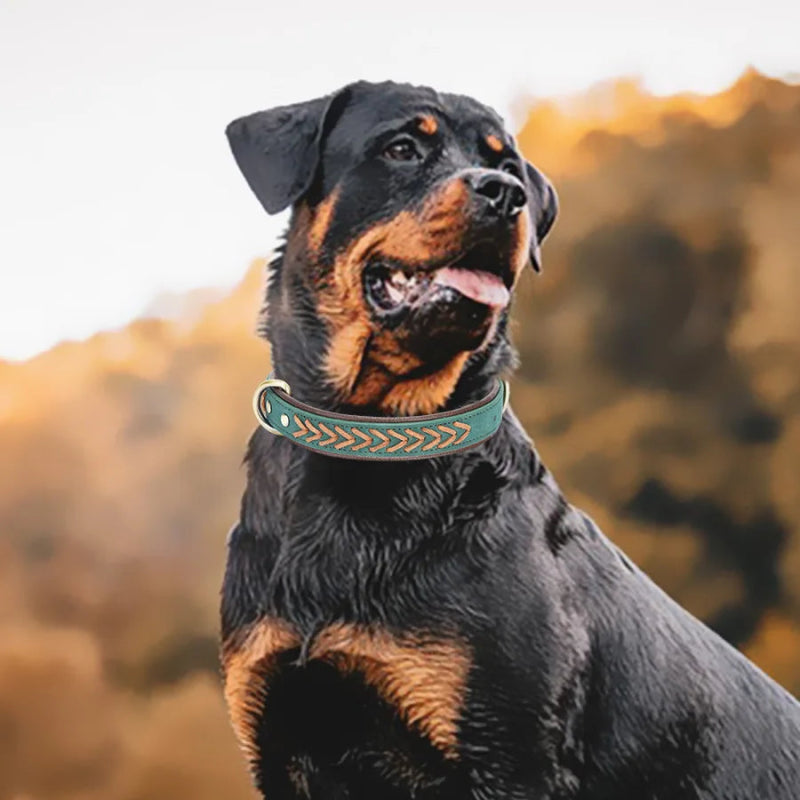 Handgemaakte Leren Hondenhalsband – Duurzaam & Comfortabel - Pet Buddy