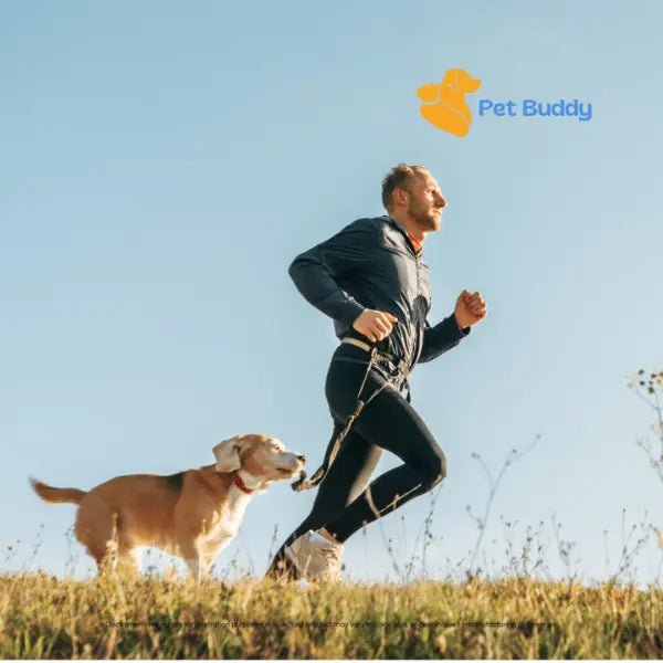 Handsfree Reflecterende Hondenriem - Pet Buddy