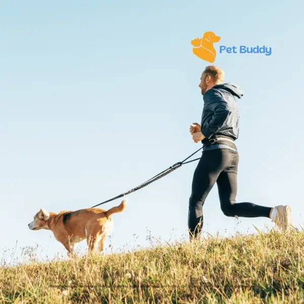 Handsfree Reflecterende Hondenriem - Pet Buddy