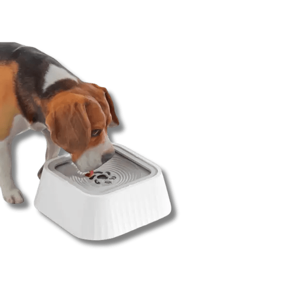 Huisdier Waterfontein - Pet Buddy