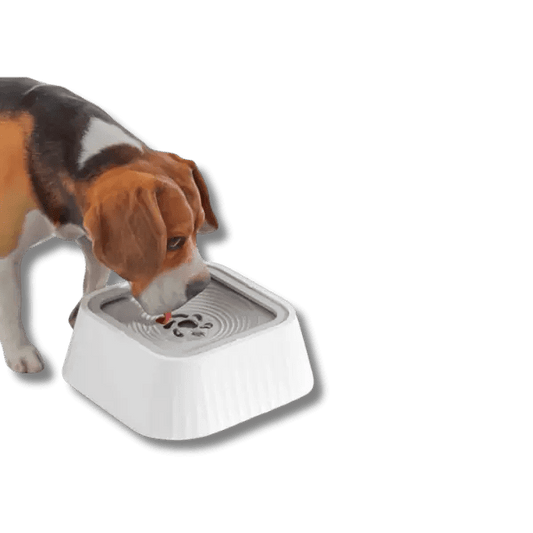 Huisdier Waterfontein - Pet Buddy