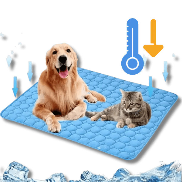 IJs - Zijde Koelmat voor Huisdieren - Pet Buddy