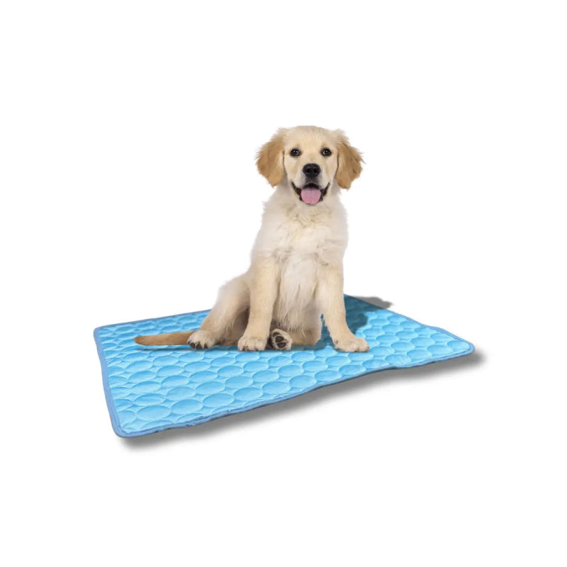 IJs - Zijde Koelmat voor Huisdieren - Pet Buddy