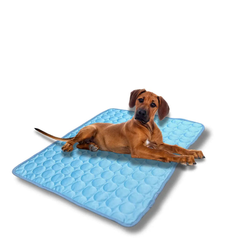IJs - Zijde Koelmat voor Huisdieren - Pet Buddy