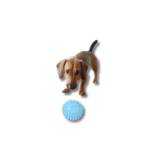 Interactieve Rubber Kauwspeelbal - Pet Buddy