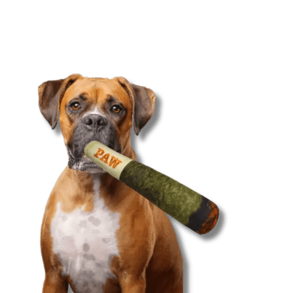 Interactieve Sigaren Plush - Pet Buddy