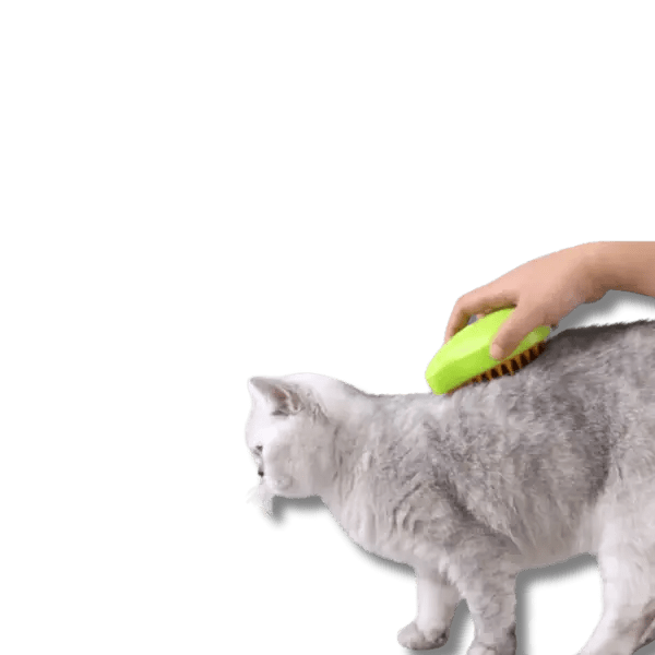 Katten Stoomborstel - Pet Buddy