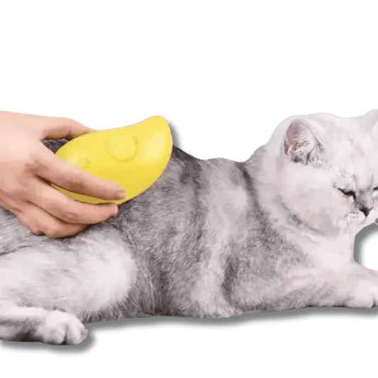 Katten Stoomborstel - Pet Buddy