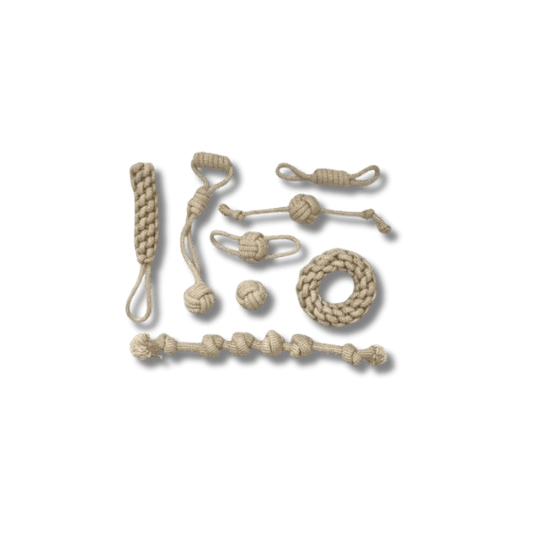 KnoopSterk Kauwtoy - Pet Buddy