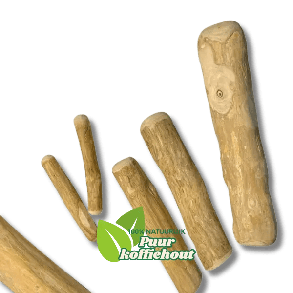 🌱 KoffieHout Kauwstok - Pet Buddy