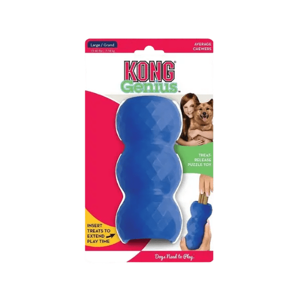 KONG Classic Genius Mike – Maat L - Pet Buddy