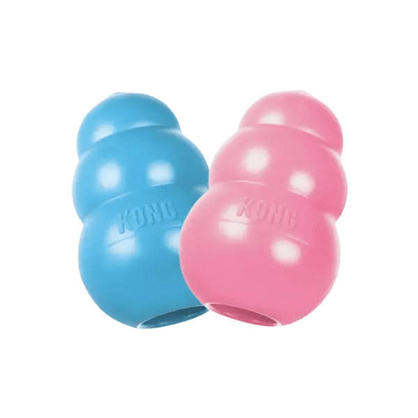 KONG Classic Puppy - Pet Buddy