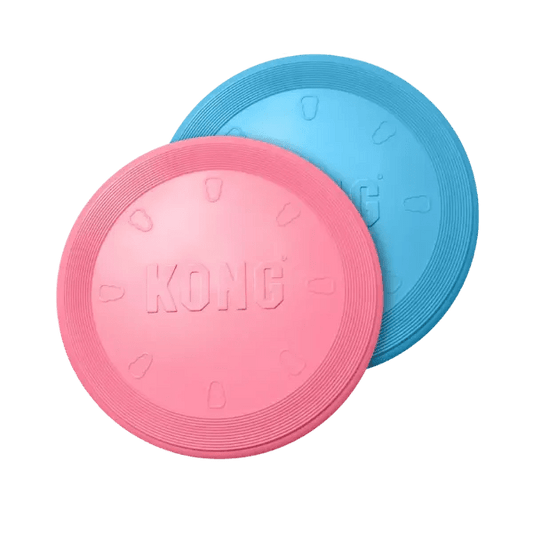 KONG Classic Puppy Flyer – Maat S (Blauw/Roze) - Pet Buddy