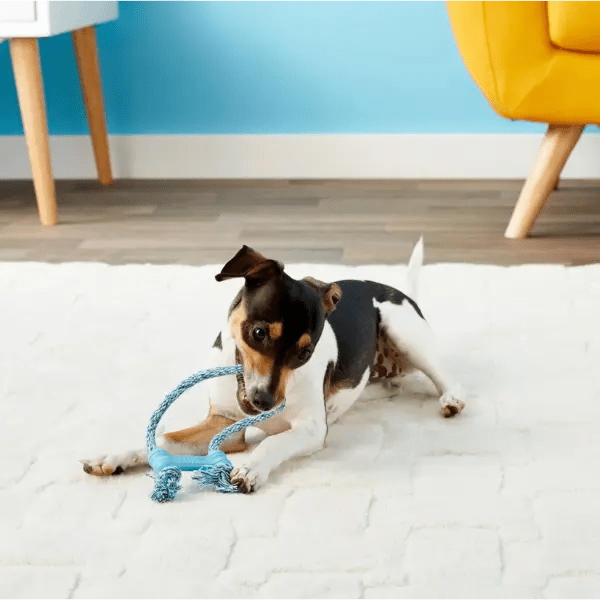 KONG Classic Puppy Goodie Bone met Touw – Maat XS - Pet Buddy