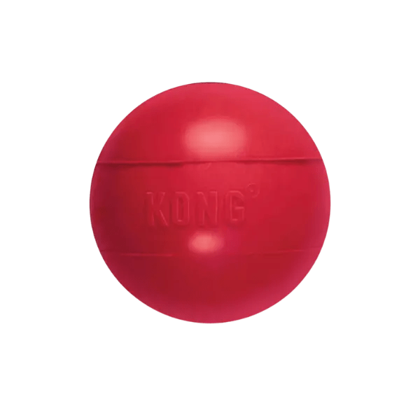 KONG Classic Speelbal – Maat M/L - Pet Buddy